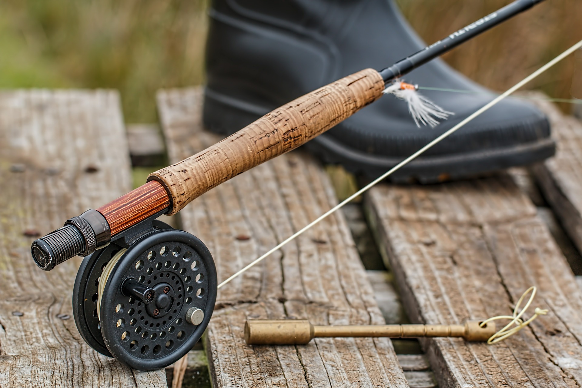 Trout fishing fly reel