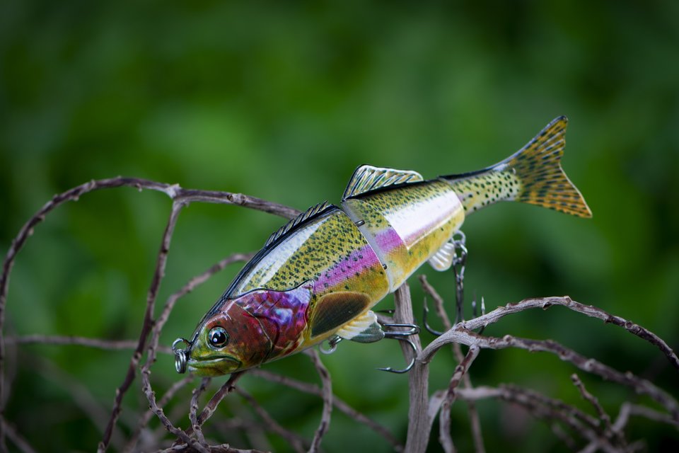 A lure for trout fishing