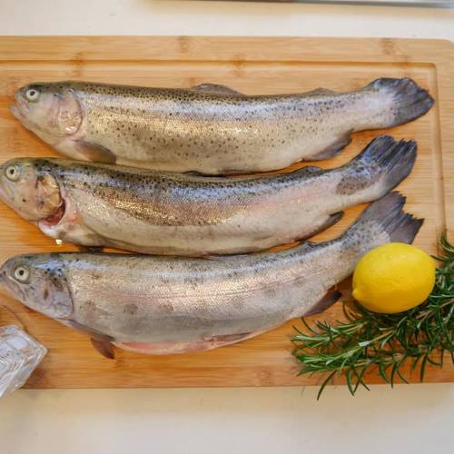 rainbow trout on a cutting board with lemon and thyme