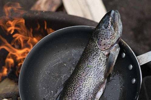 a trout being cooked in a pan above the fire
