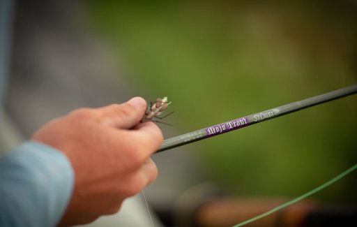 St croix mojo trout fly rod held by a man 