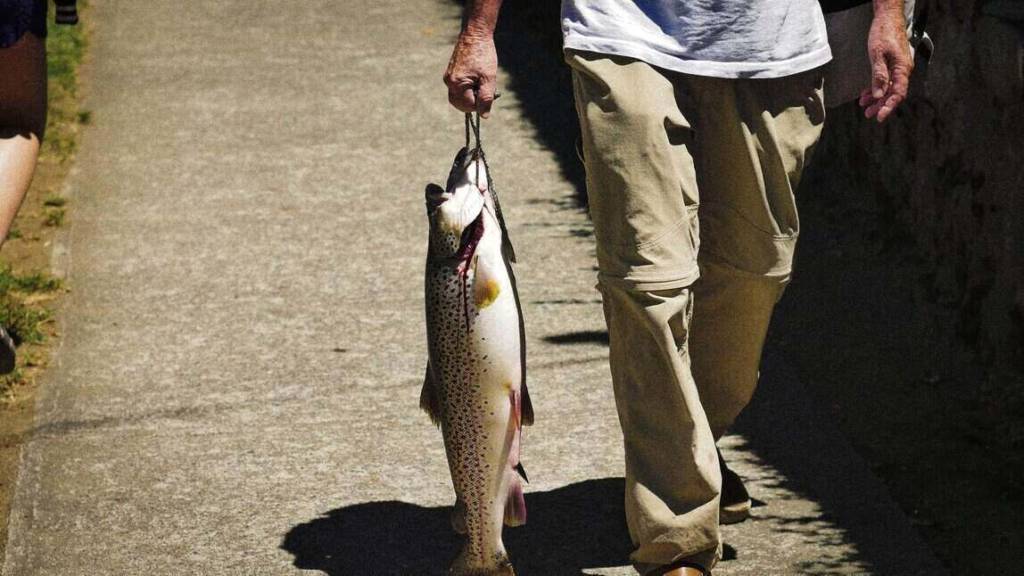 a man walking with Catch stocked trout 